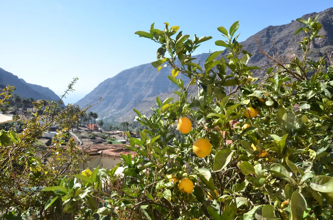 Maison à Valle Gran Rey - Ile de La Gomera