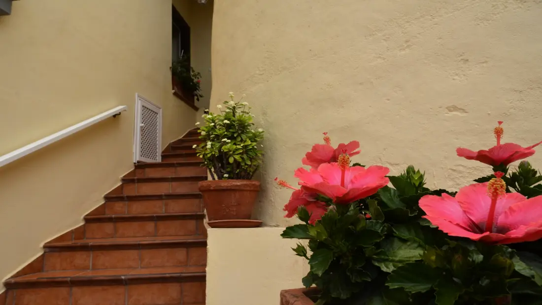 Maison à Valle Gran Rey - Ile de La Gomera