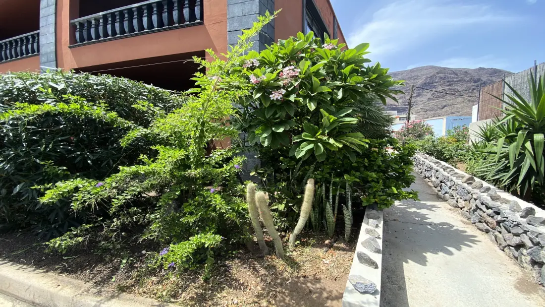 Studio à Valle Gran Rey - Ile de La Gomera