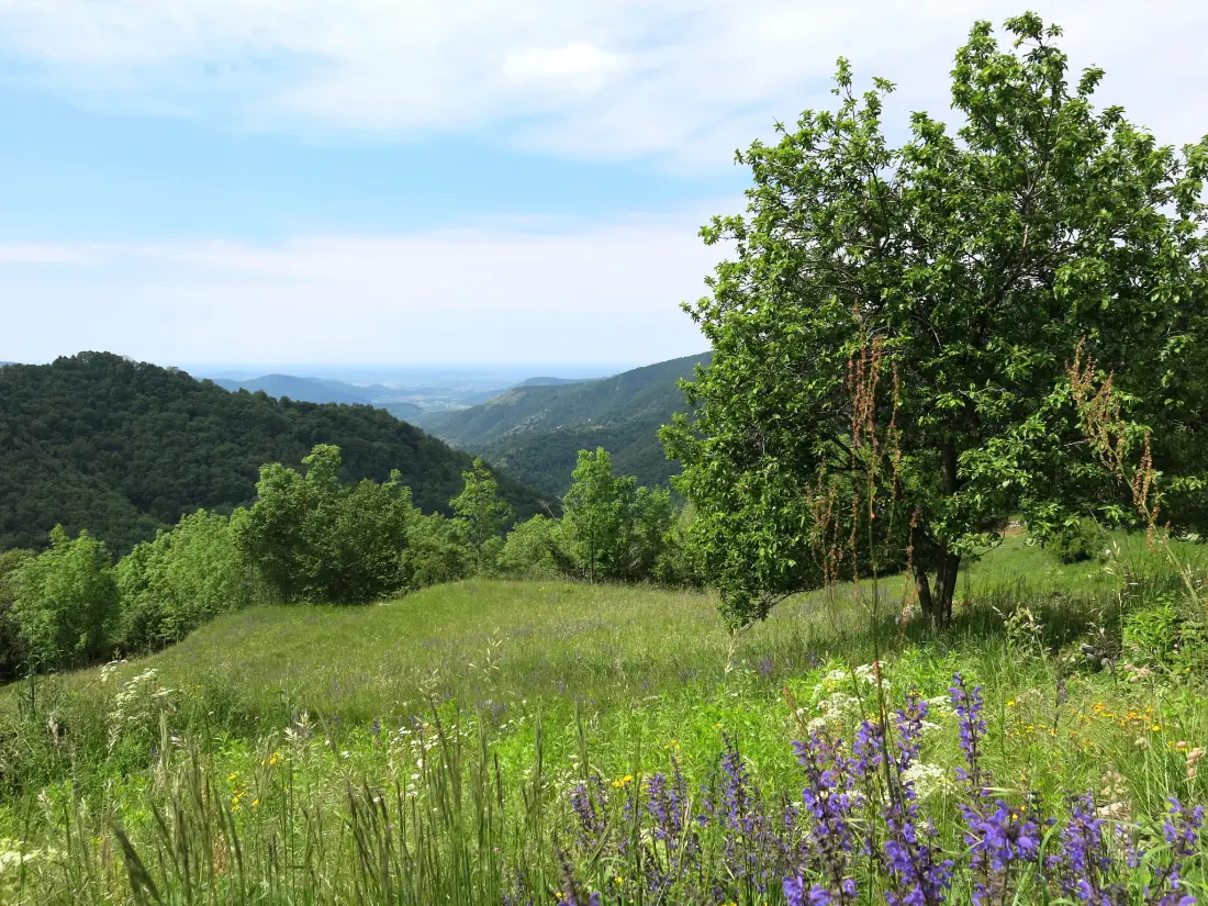 Maison de Vacances Valli del Natisone