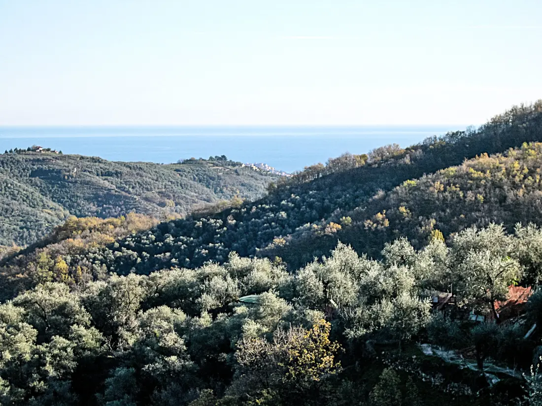Maison de Vacances Valloria
