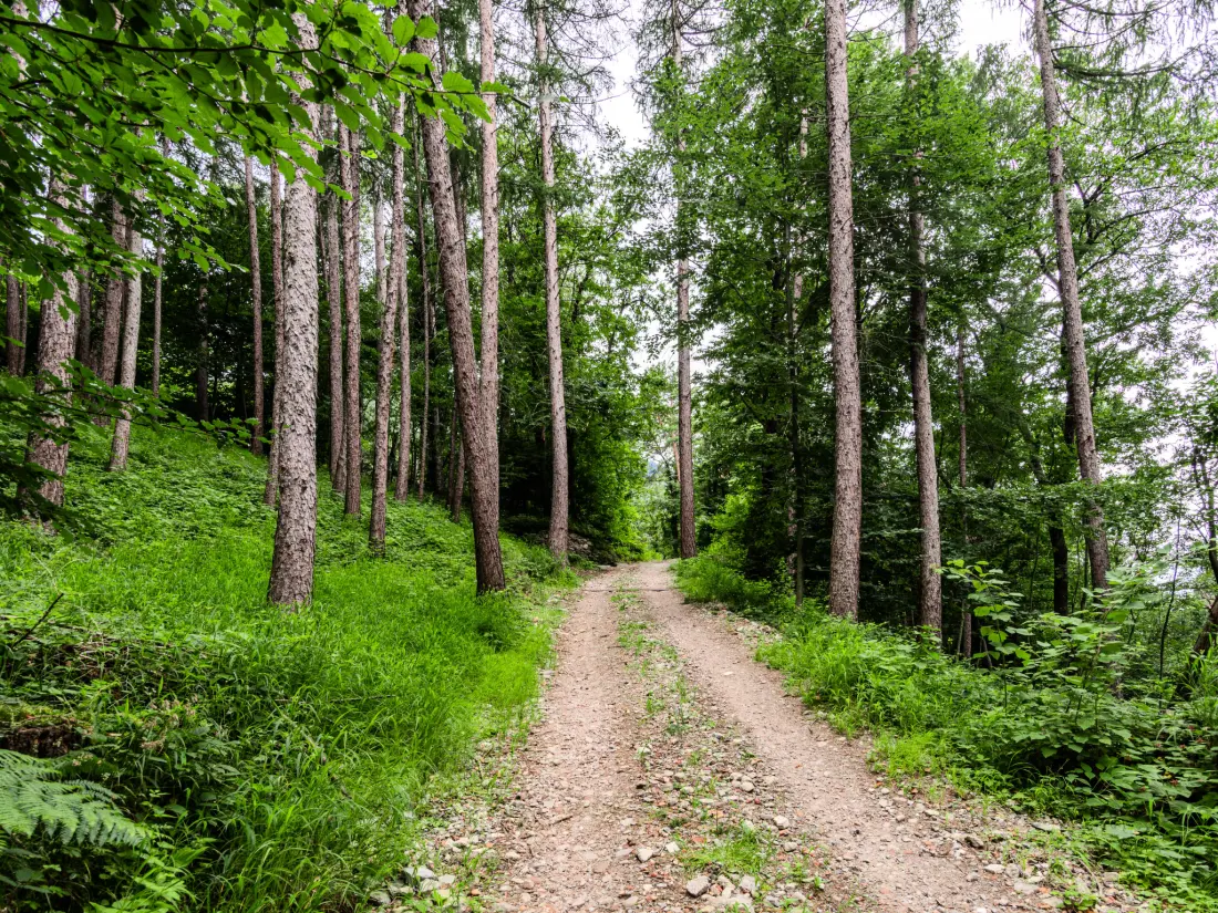 Maison de Vacances Valtellina