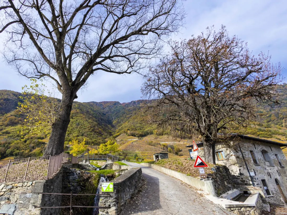 Maison de Vacances Valtellina