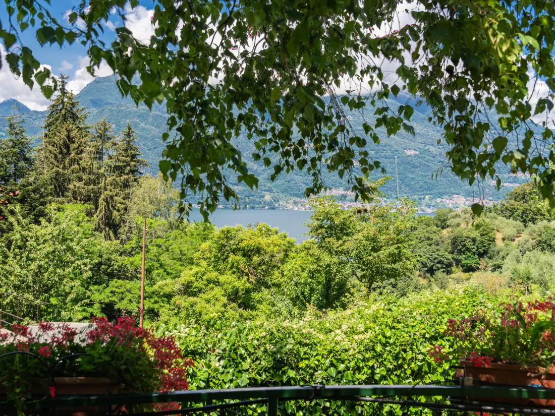 Résidence Nel Castagneto
