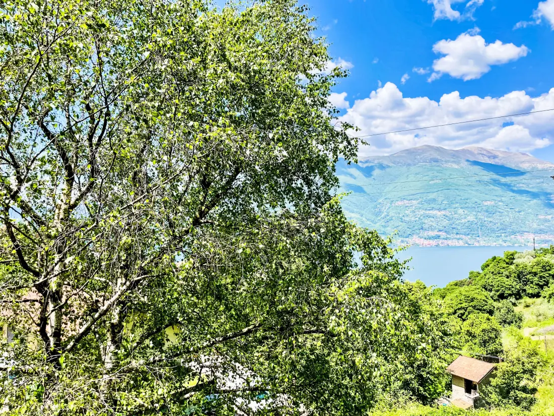 Résidence Nel Castagneto