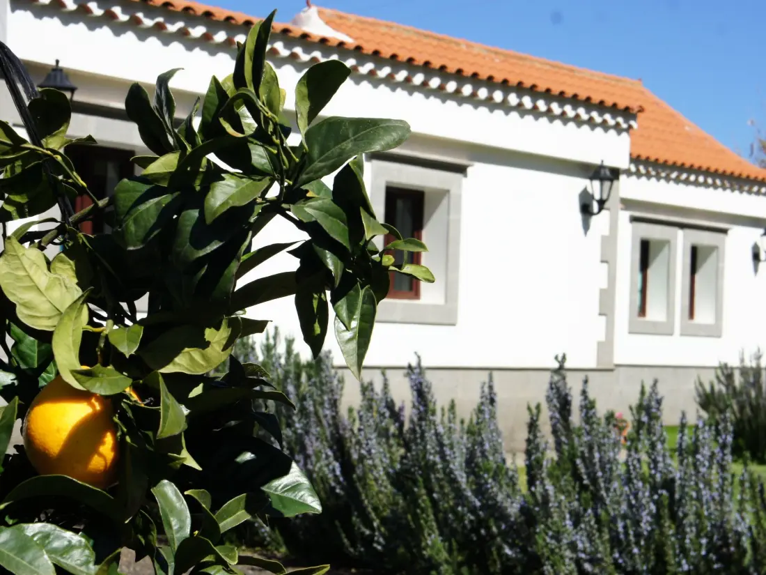 Maison de Vacances Vega de San Mateo