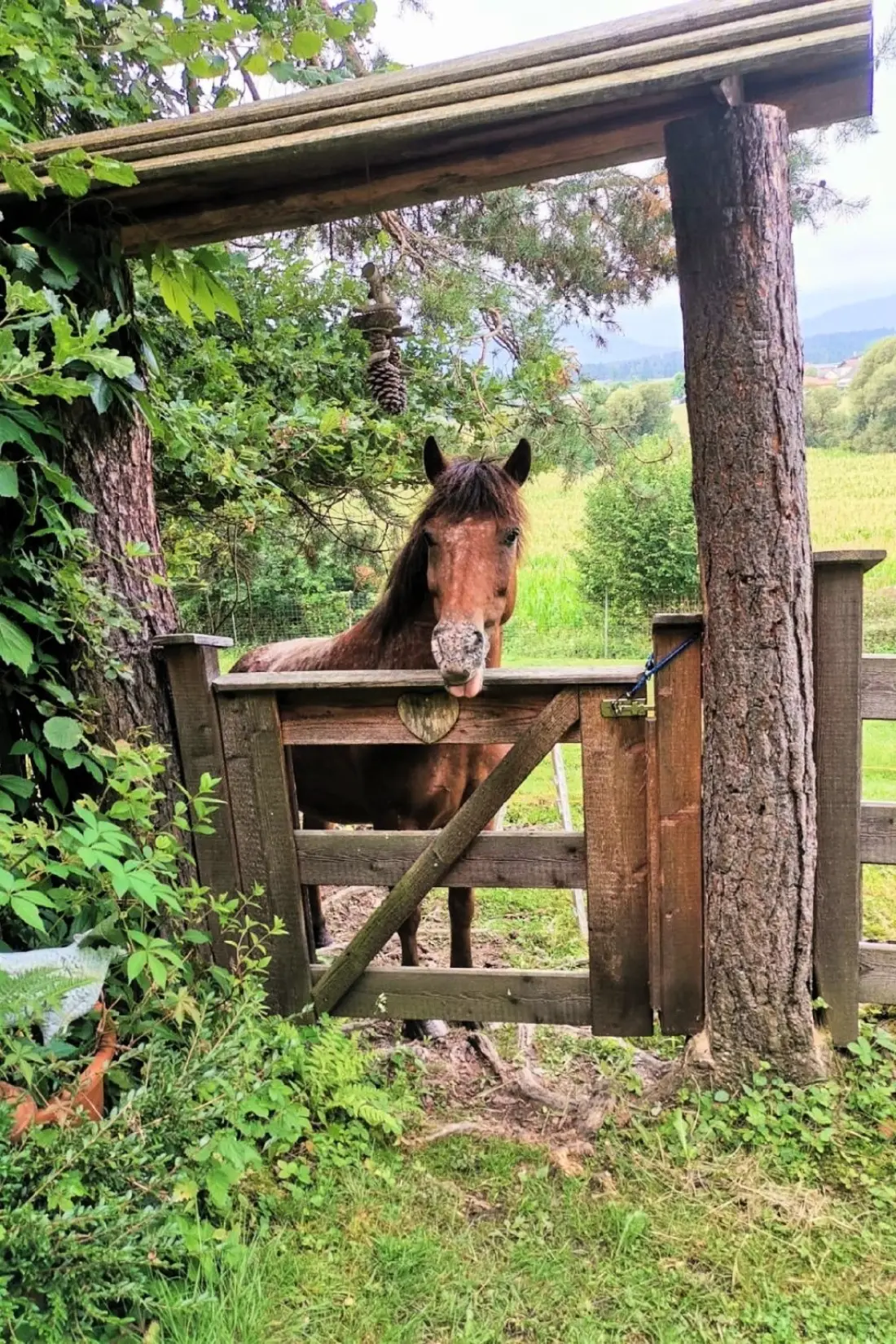 Maison de Vacances Velden am Wörthersee
