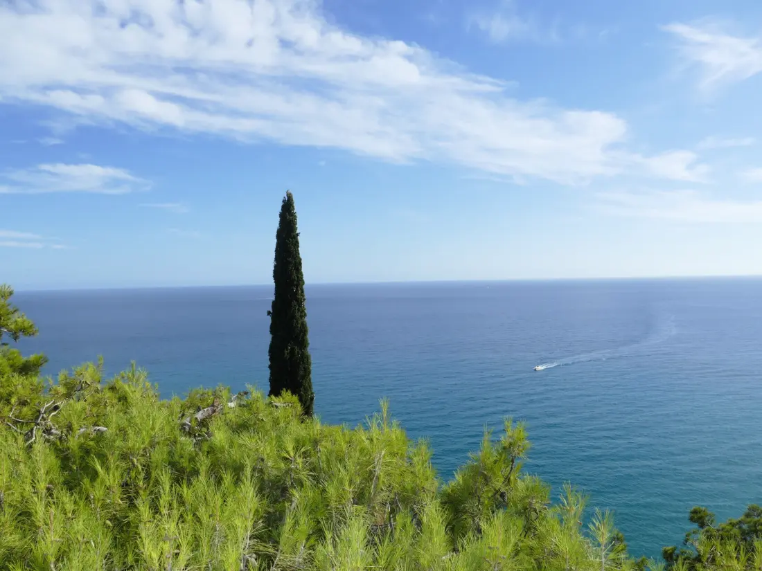 Résidence Monte Carlo View