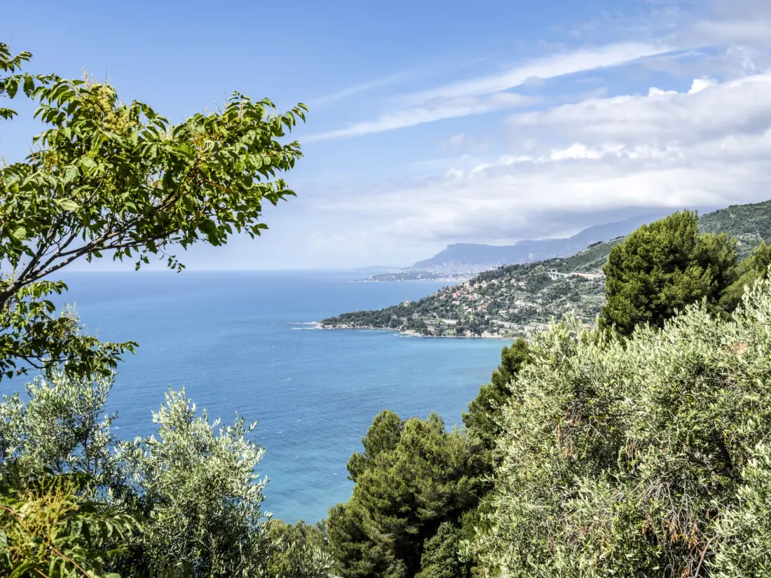Résidence Villa Ginestra