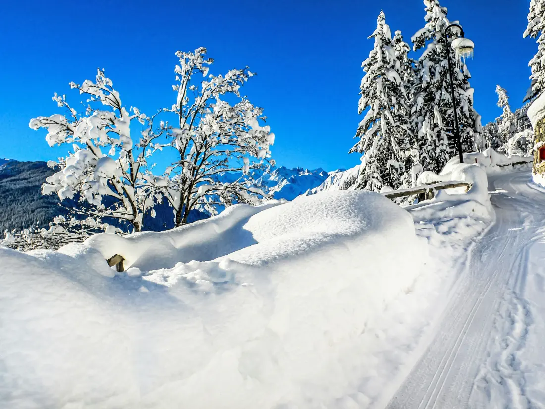 Chalet Verbier
