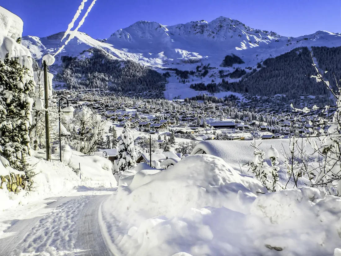 Chalet Verbier