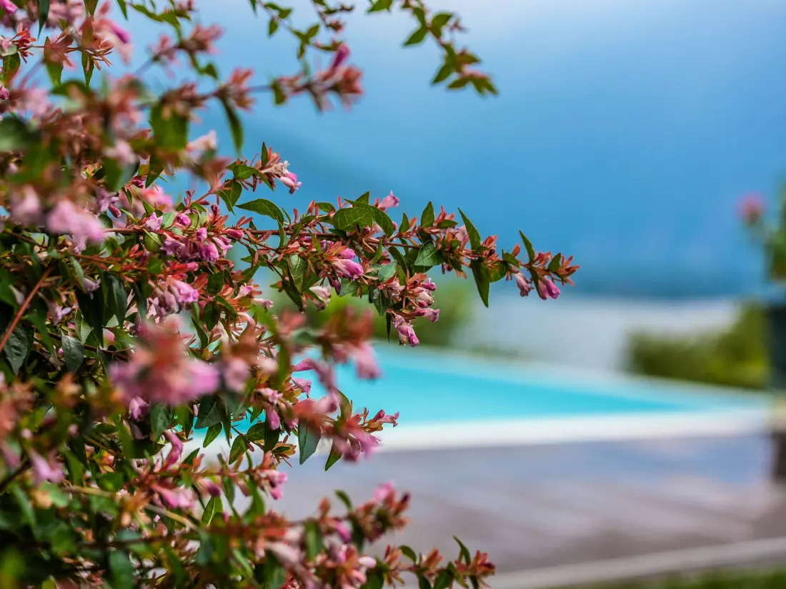 Résidence Wohnung mit Schwimmbad und fantastischem Seeblick