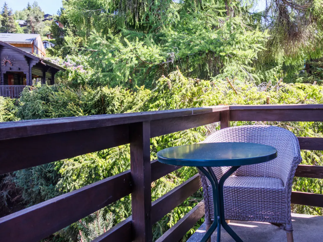 Chalet Vercorin
