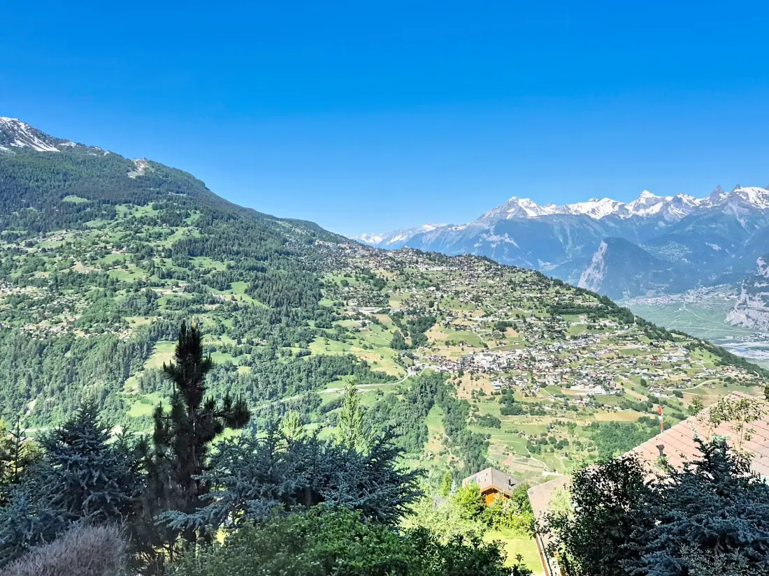 Résidence Myosotis Est