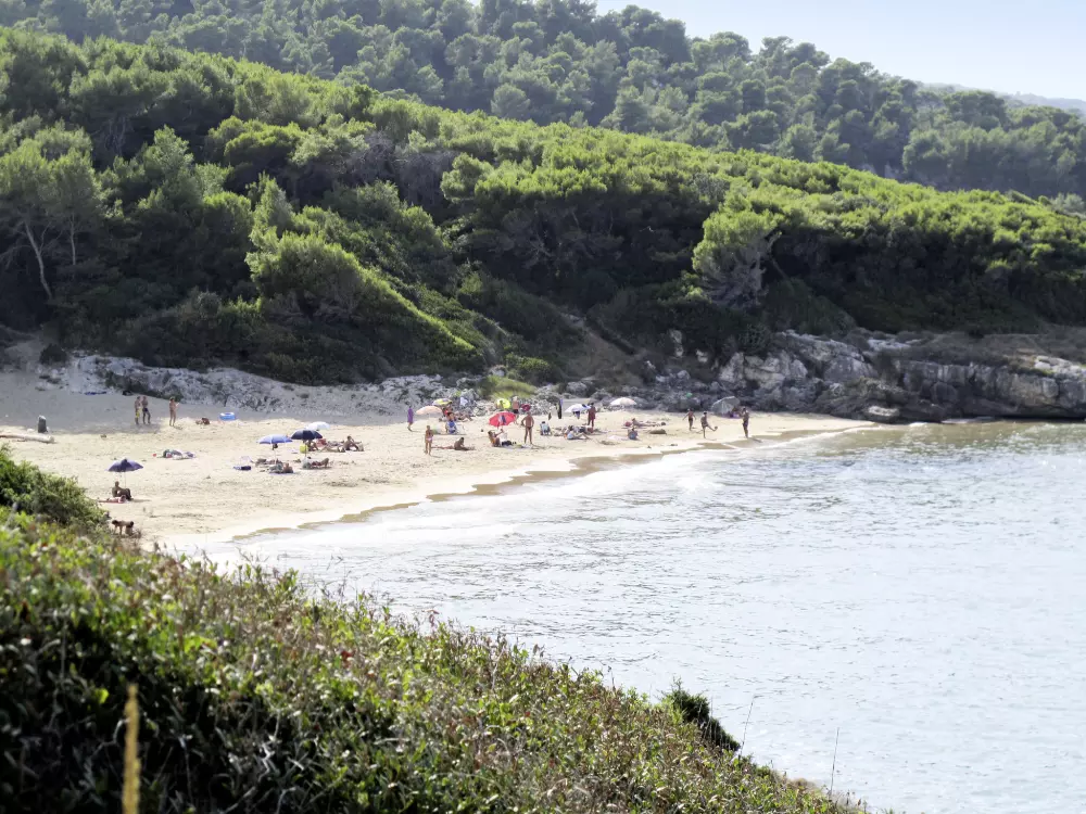 Maison de Vacances Vieste