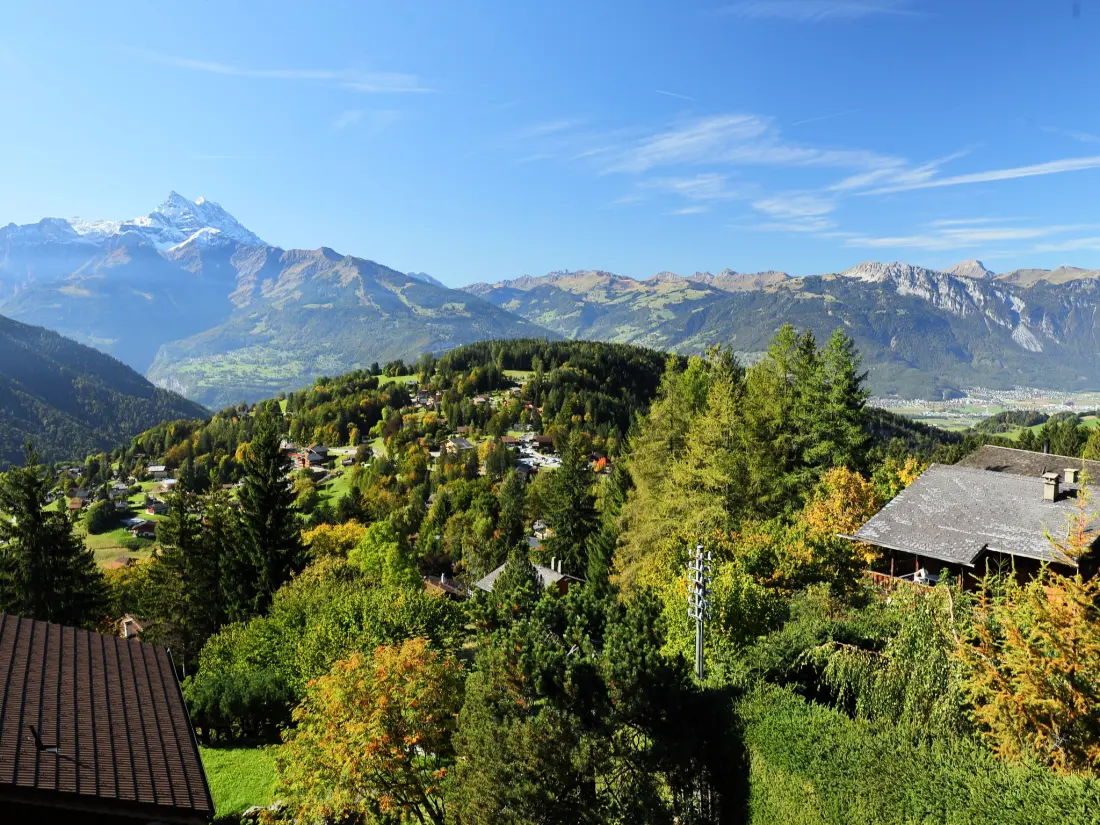 Chalet Gryon