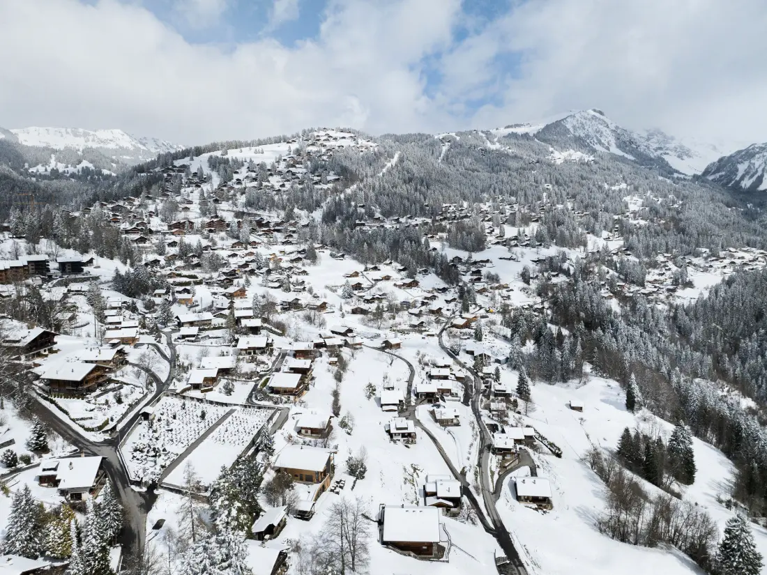Chalet Gryon