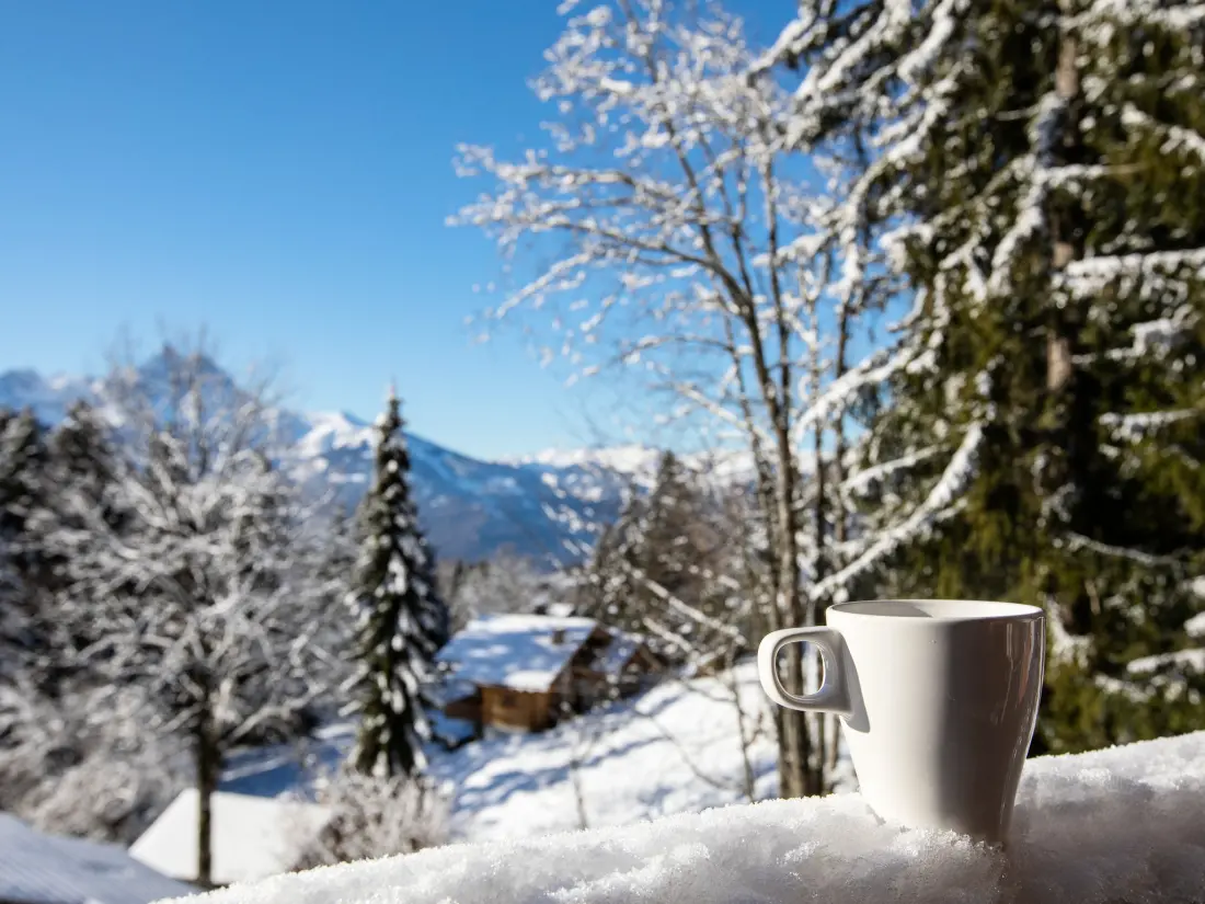 Chalet Gryon