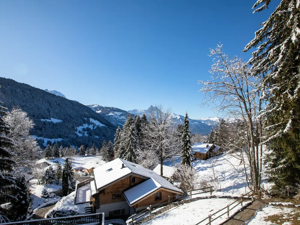 Chalet Gryon