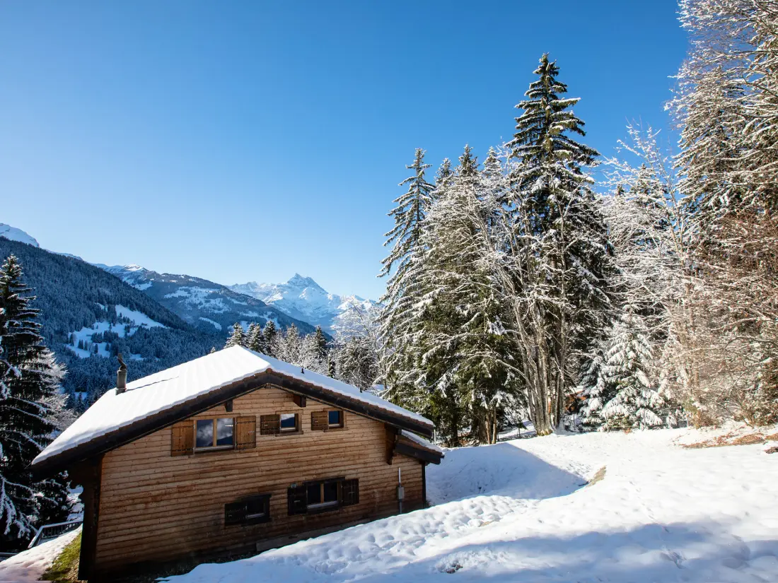 Chalet Gryon