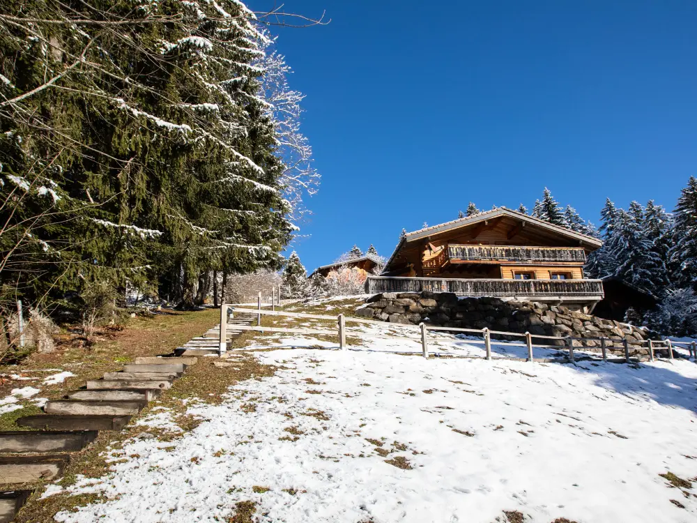 Chalet Gryon