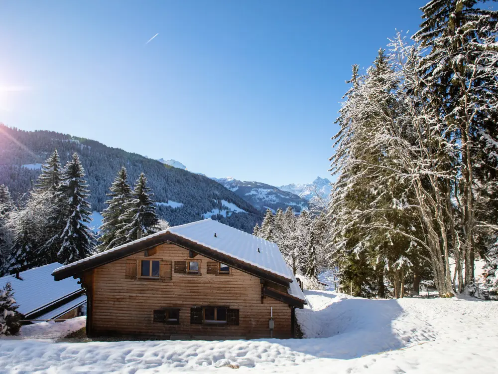 Chalet Gryon