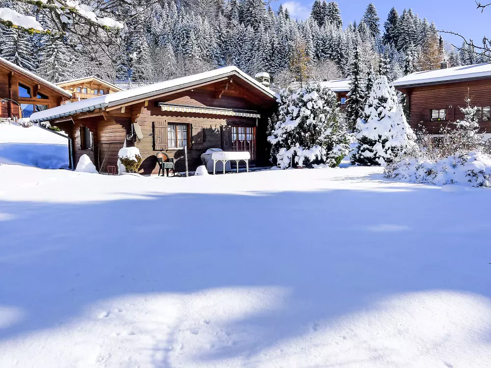 Chalet Villars