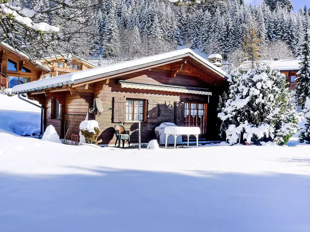 Chalet Villars
