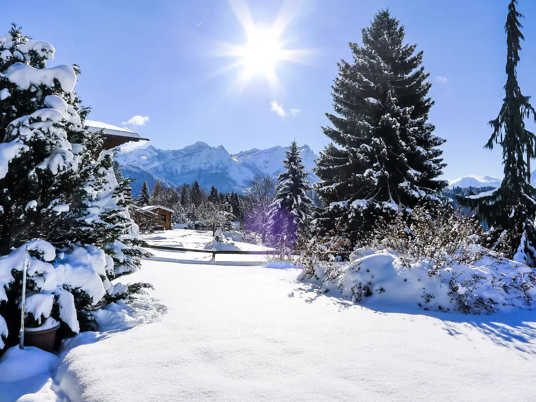 Chalet Villars