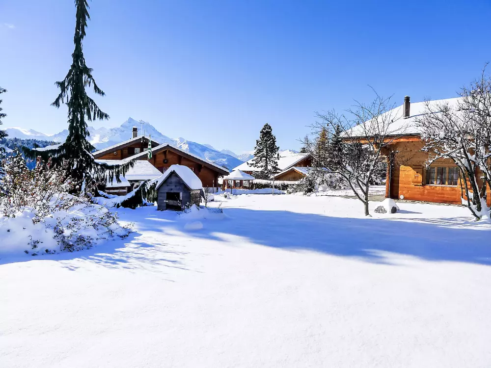 Chalet Villars