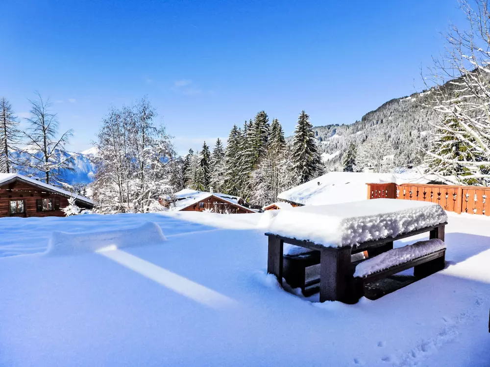Chalet Villars