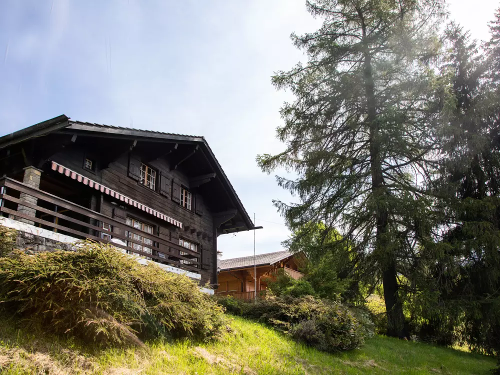 Chalet Villars