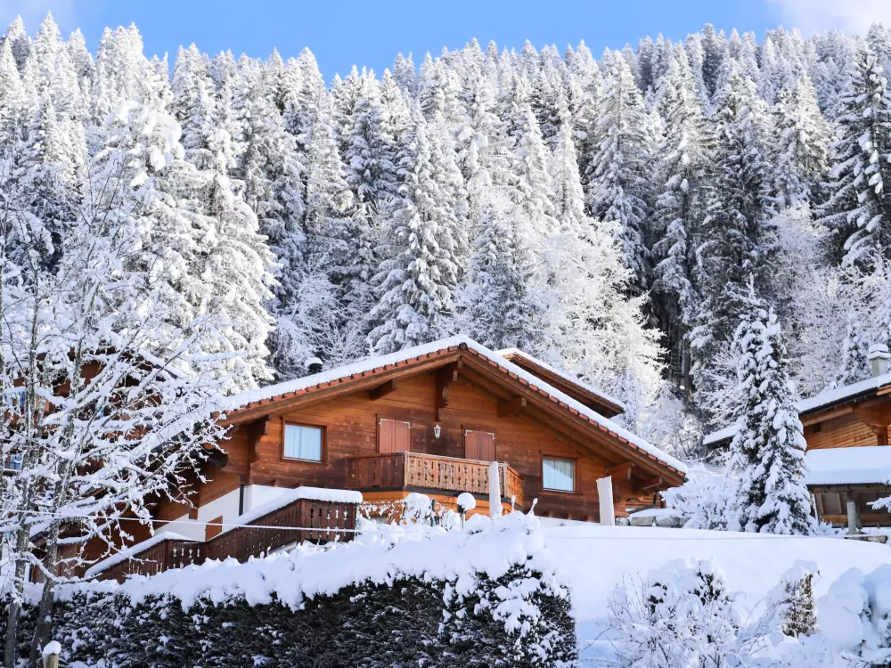 Chalet Villars