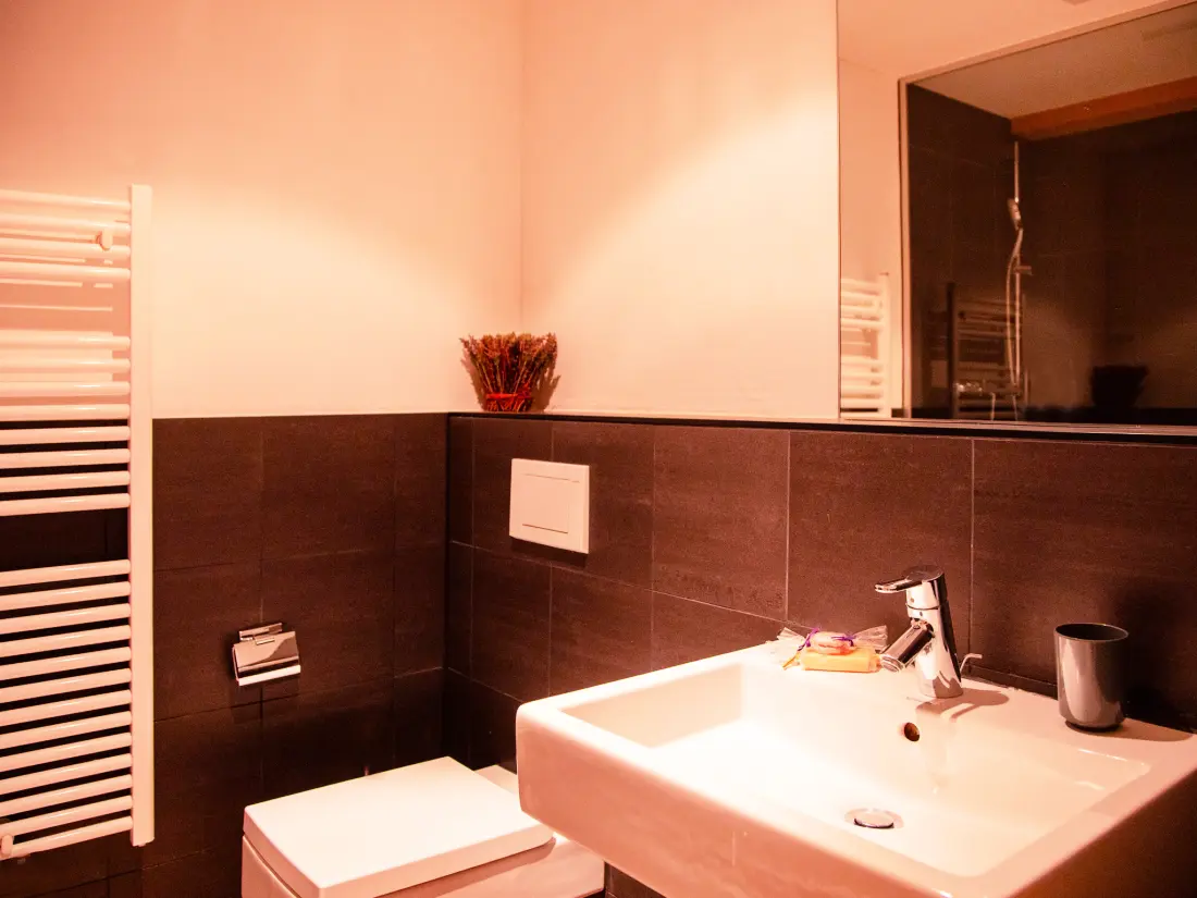 Chalet Villars