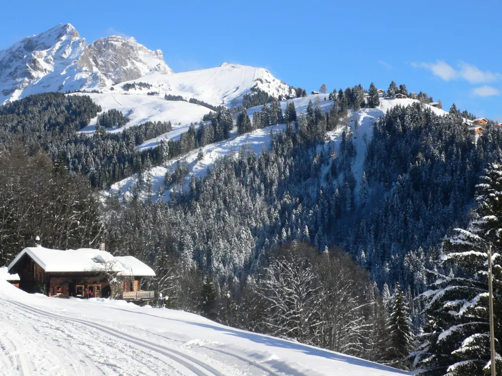 Résidence Aiguilles Dorées III/2