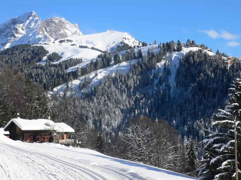 Résidence Daphné A 32