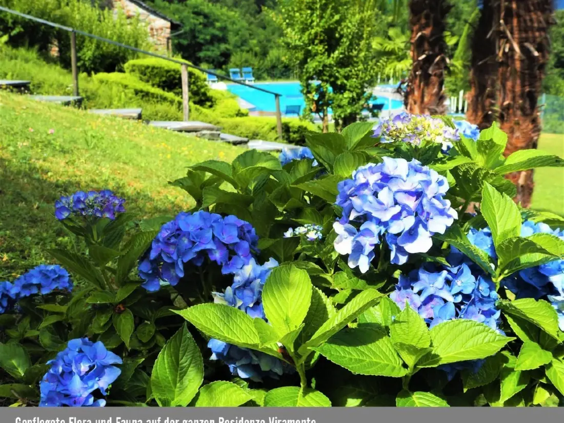 Résidence Residenza Viramonte - Casa Daniela, Wohnung 38