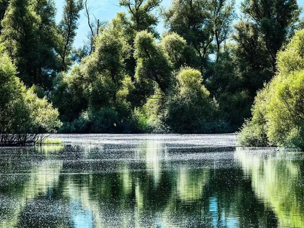 Résidence Residenza Viramonte - Casa Elena, Wohnung 46