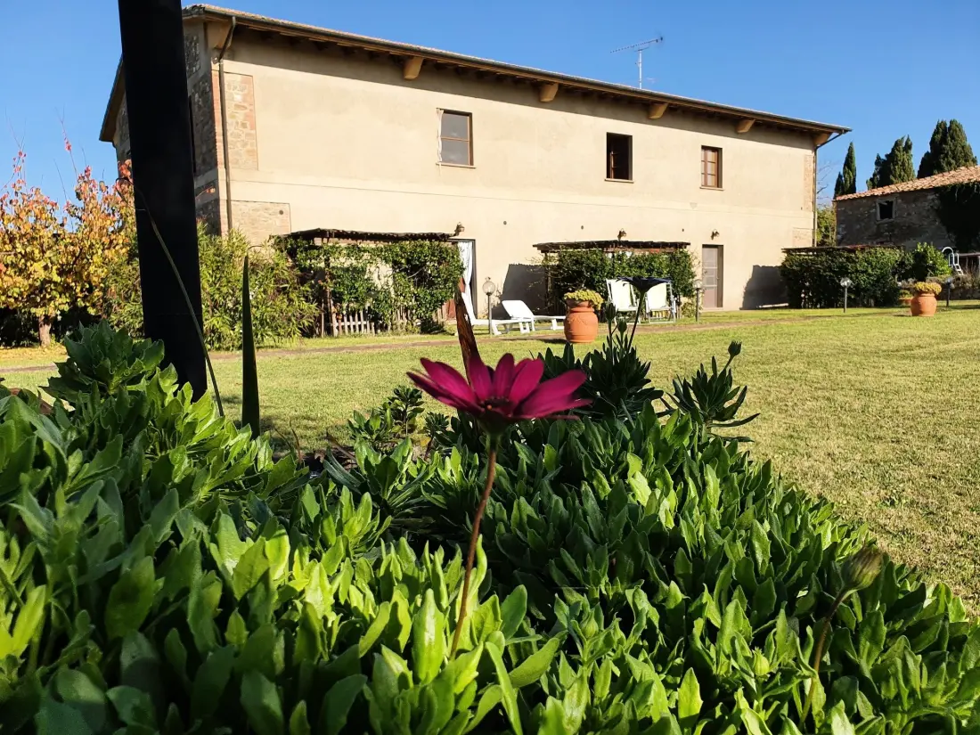Maison de Vacances Volterra