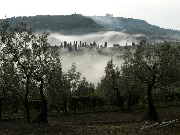 Maison de Vacances Volterra