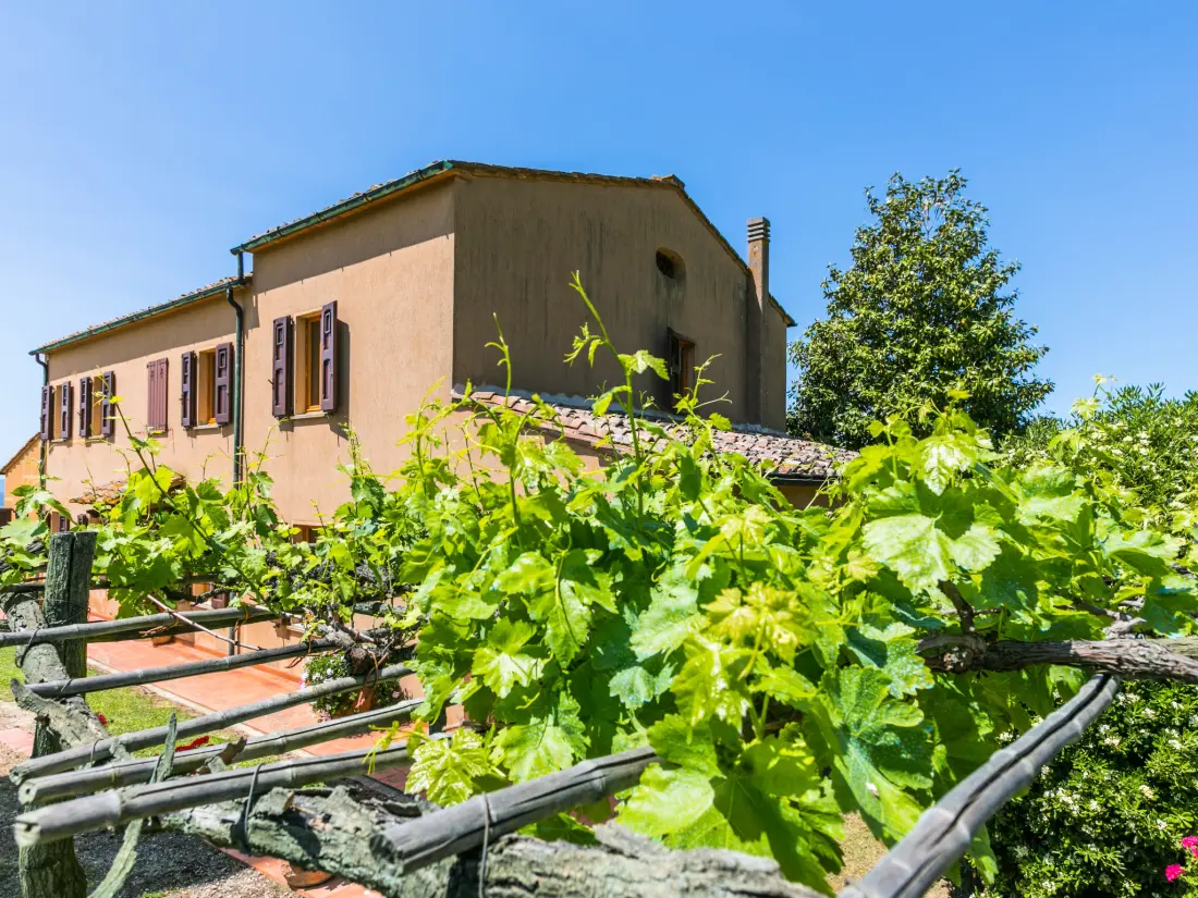 Maison de Vacances Volterra