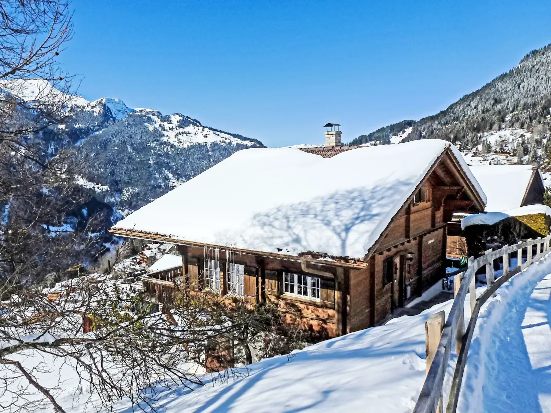 Chalet Wengen
