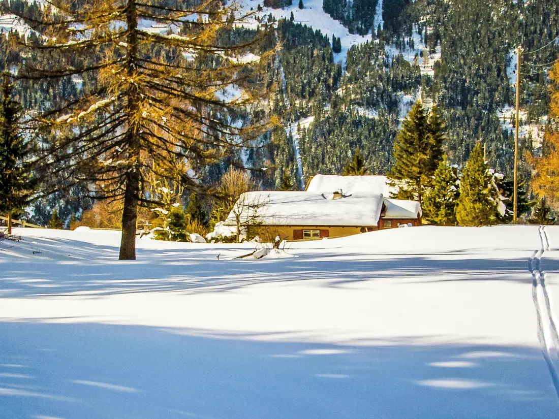 Chalet Wengen
