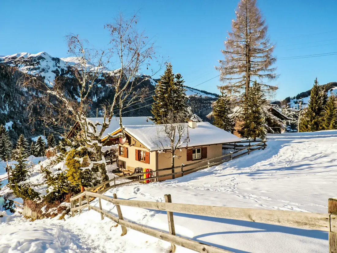 Chalet Wengen