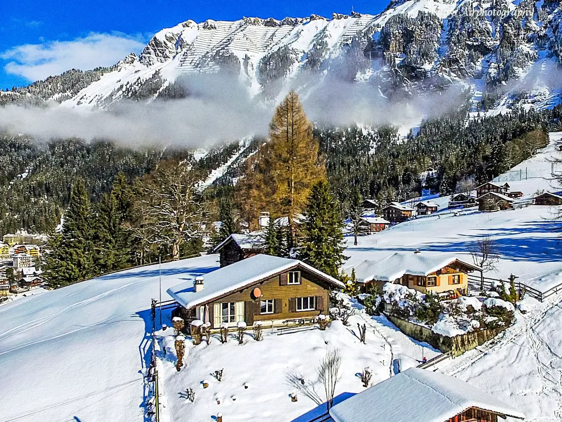 Chalet Wengen