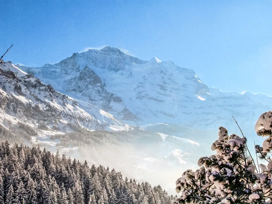 Chalet Wengen