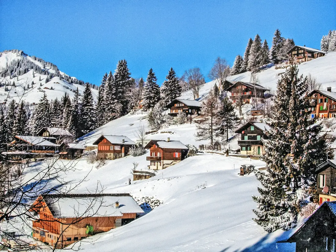 Chalet Wengen
