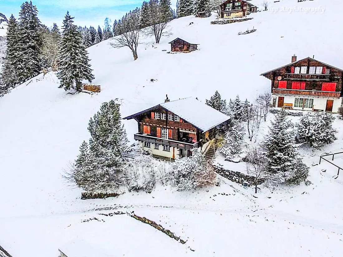 Chalet Wengen