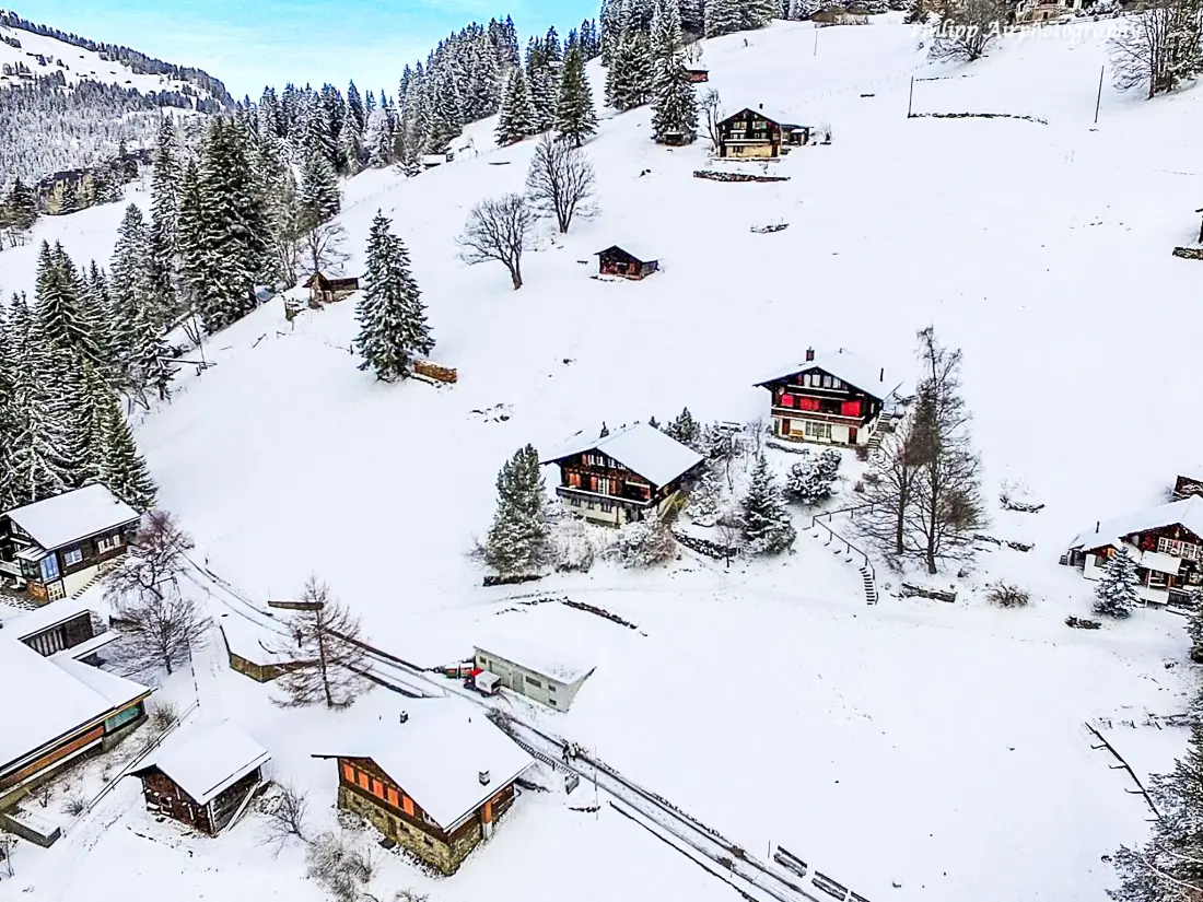 Chalet Wengen