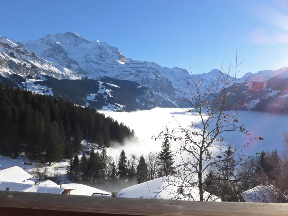 Chalet Wengen